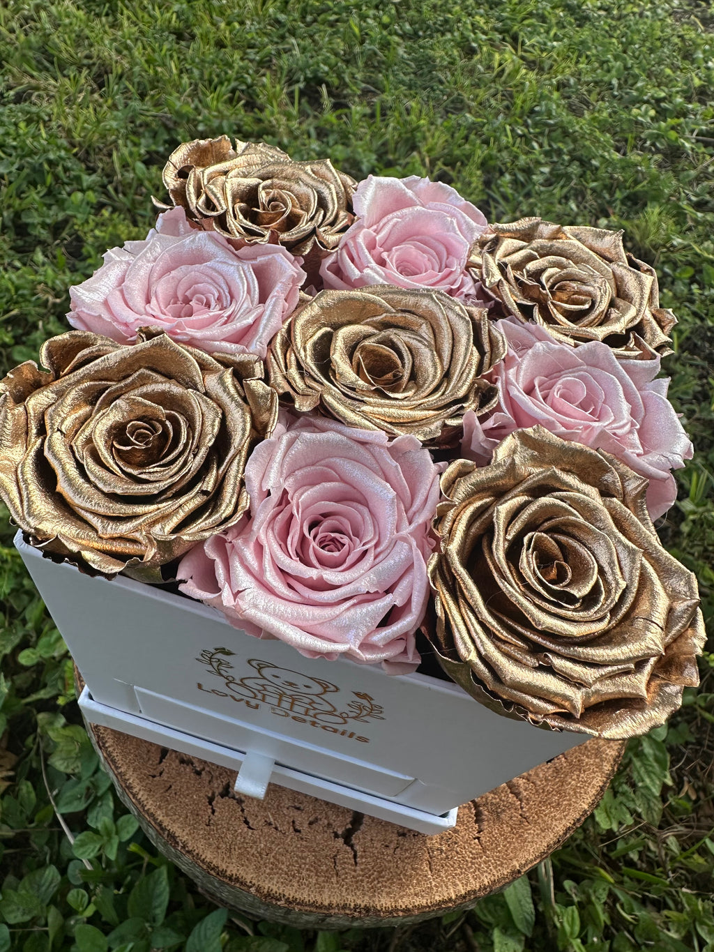 Love Drawer – Golden Edition