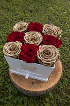 Love Drawer – Golden Edition