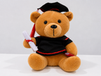 Graduation Teddy Bear Plush